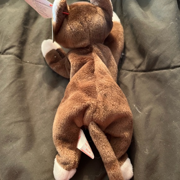 Ty Beanie Baby Cat - Picture 5 of 6